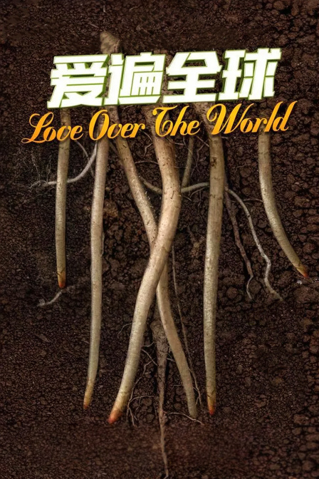 爱遍全球