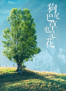 狗尾巴草也是花