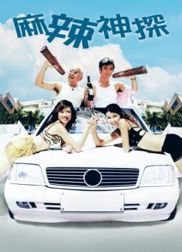 麻辣神探