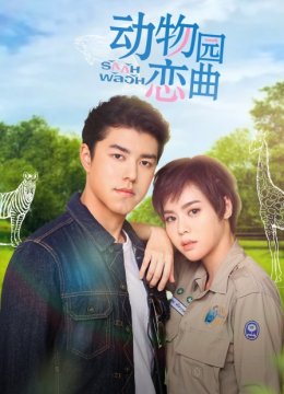 动物园恋曲版