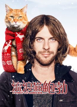 流浪猫鲍勃