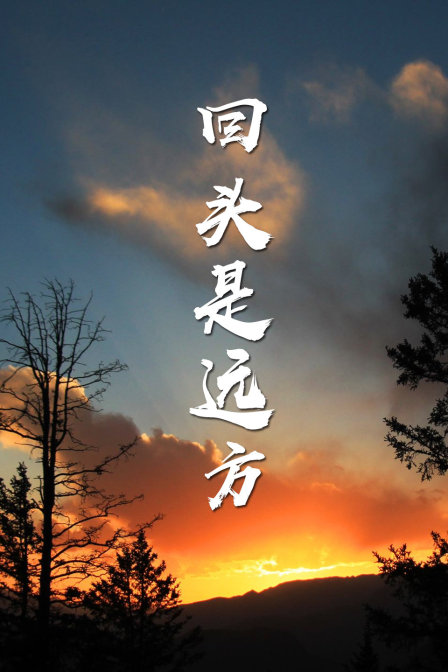 回头是远方