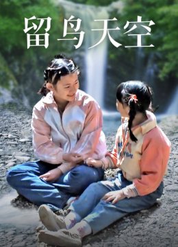 留鸟天空