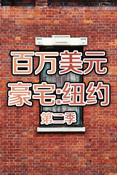 百万美元豪宅纽约2