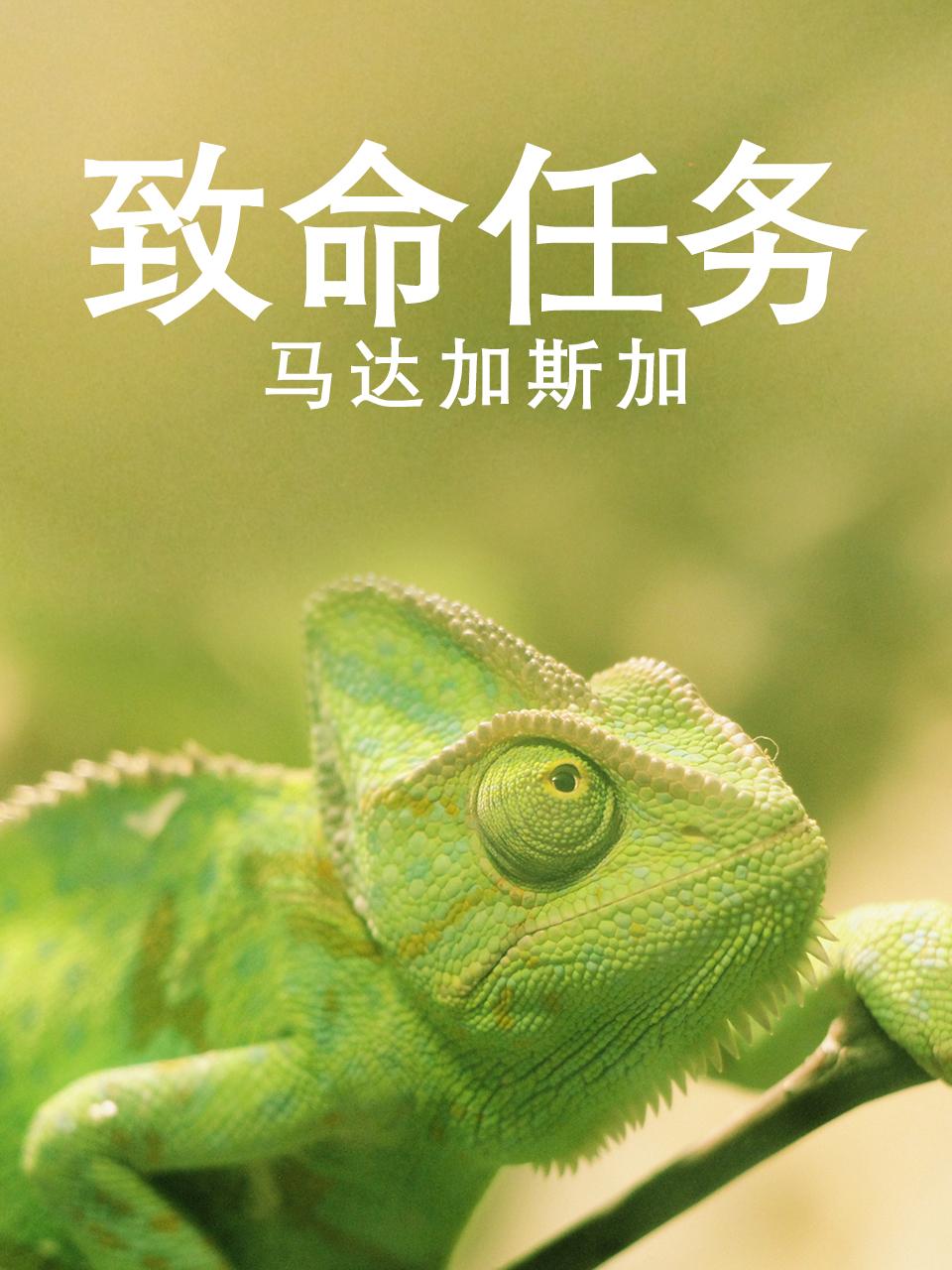 致命任务马达加斯加