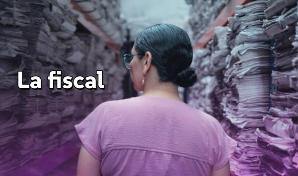 特别主控官墨西哥女性命案守护者