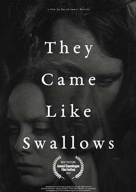 如燕而至TheyCameLikeSwallows