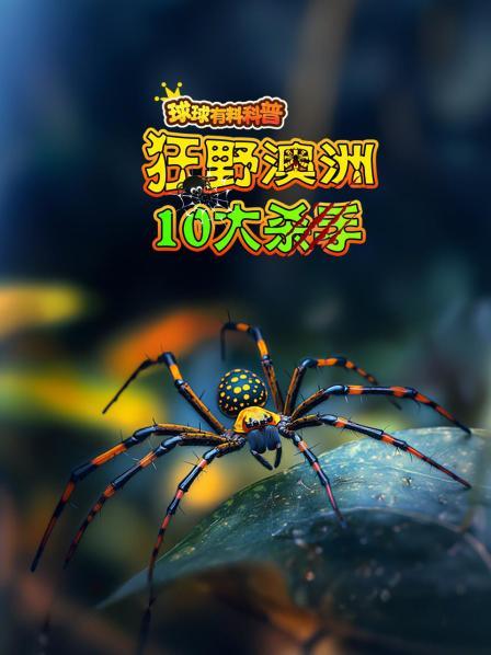 先导片狂野澳洲十大杀手