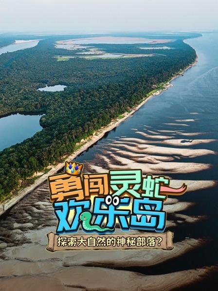 揭开爬行精灵的神秘面纱