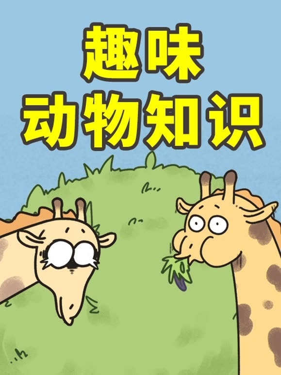 PP剧场趣味动物知识科普