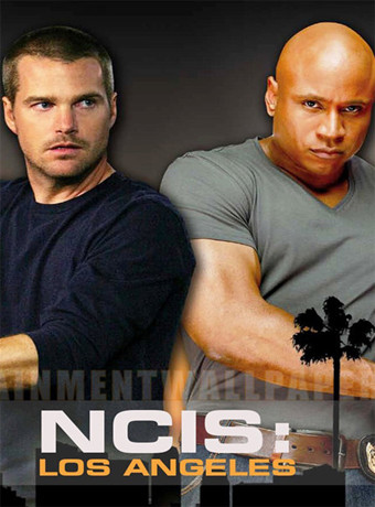 海军罪案调查处第十六季