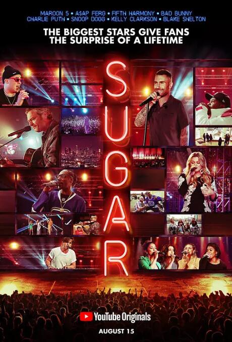 偶像的惊喜第1季