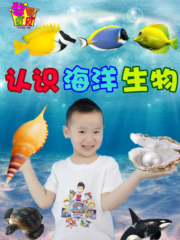 认识海洋生物宝宝第1季