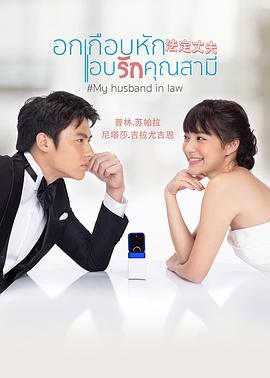 我的法定老公国语版