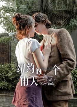 纽约的一个雨天版