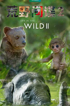 荒野间谍第2季普通话版