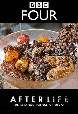 生命循环奇异的腐烂科学