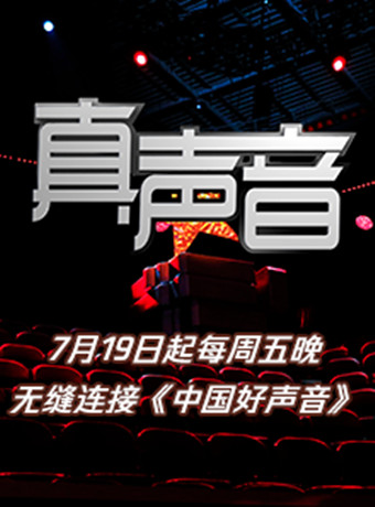 真声音2019/大陆真声音