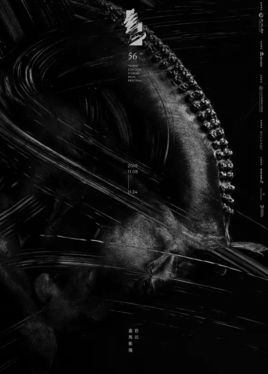 第56届台湾湾电影金马奖