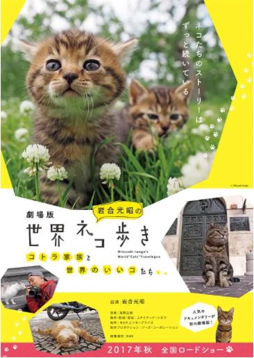 岩合光昭的猫步走世界蒙古篇
