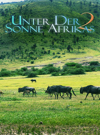 走进非洲2友谊地久天长