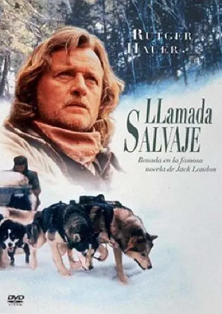 野性的呼唤育空的狗