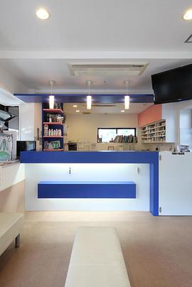 纪实72小时城市不眠的动物医院