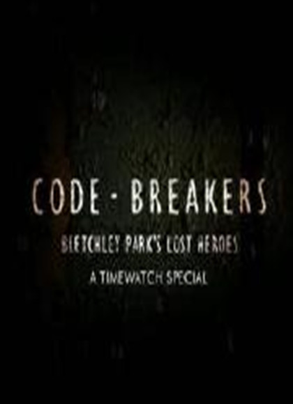 密码破译者布莱切利庄园的幕后英语雄