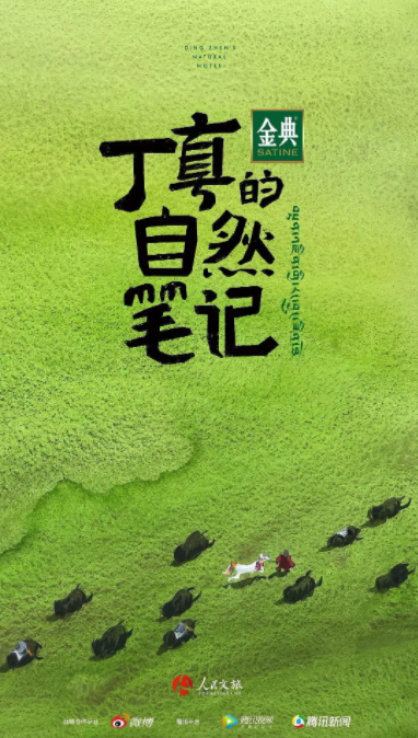 丁真的自然笔记[2021]