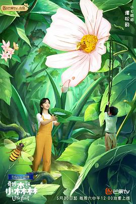 小森林彩蛋营业中