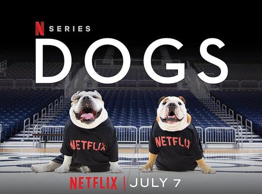 爱犬情深第2季Dogs第2季[2021]