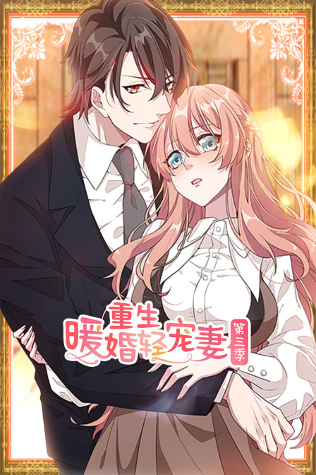 重生暖婚轻宠妻3