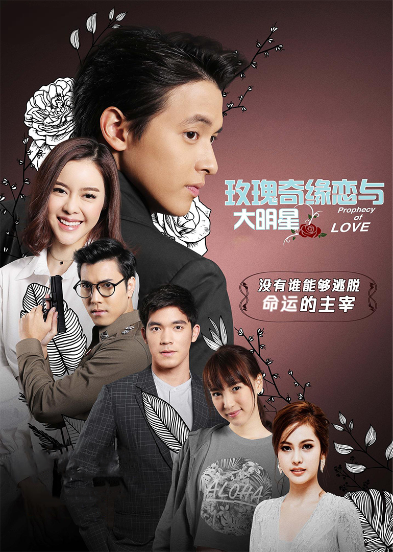 玫瑰奇缘恋与大明星普通话版