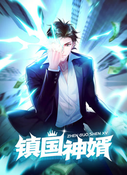 镇国神婿动态漫画画