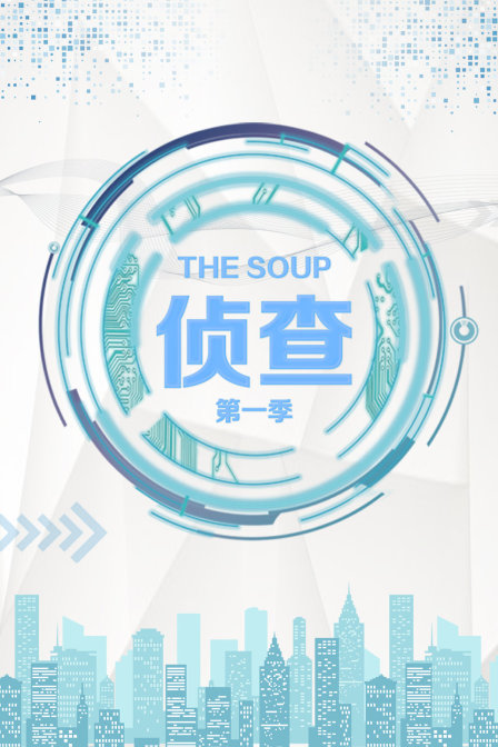 TheSoup侦查1