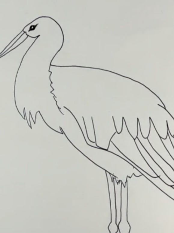 动物人物植物风景儿童简笔画教程