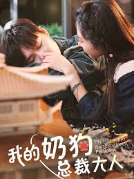 我的奶狗是总裁大人