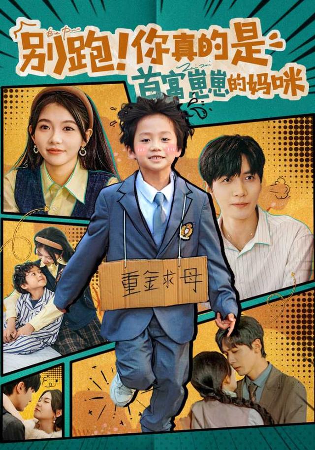别跑你真的是首富崽崽的妈咪