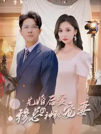 先婚后爱穆总的神秘宠妻