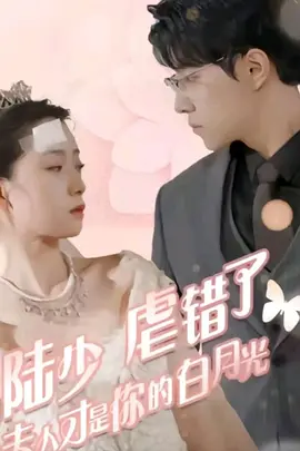 陆少虐错了，夫人才是你的白月光