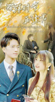 落花时节再逢君