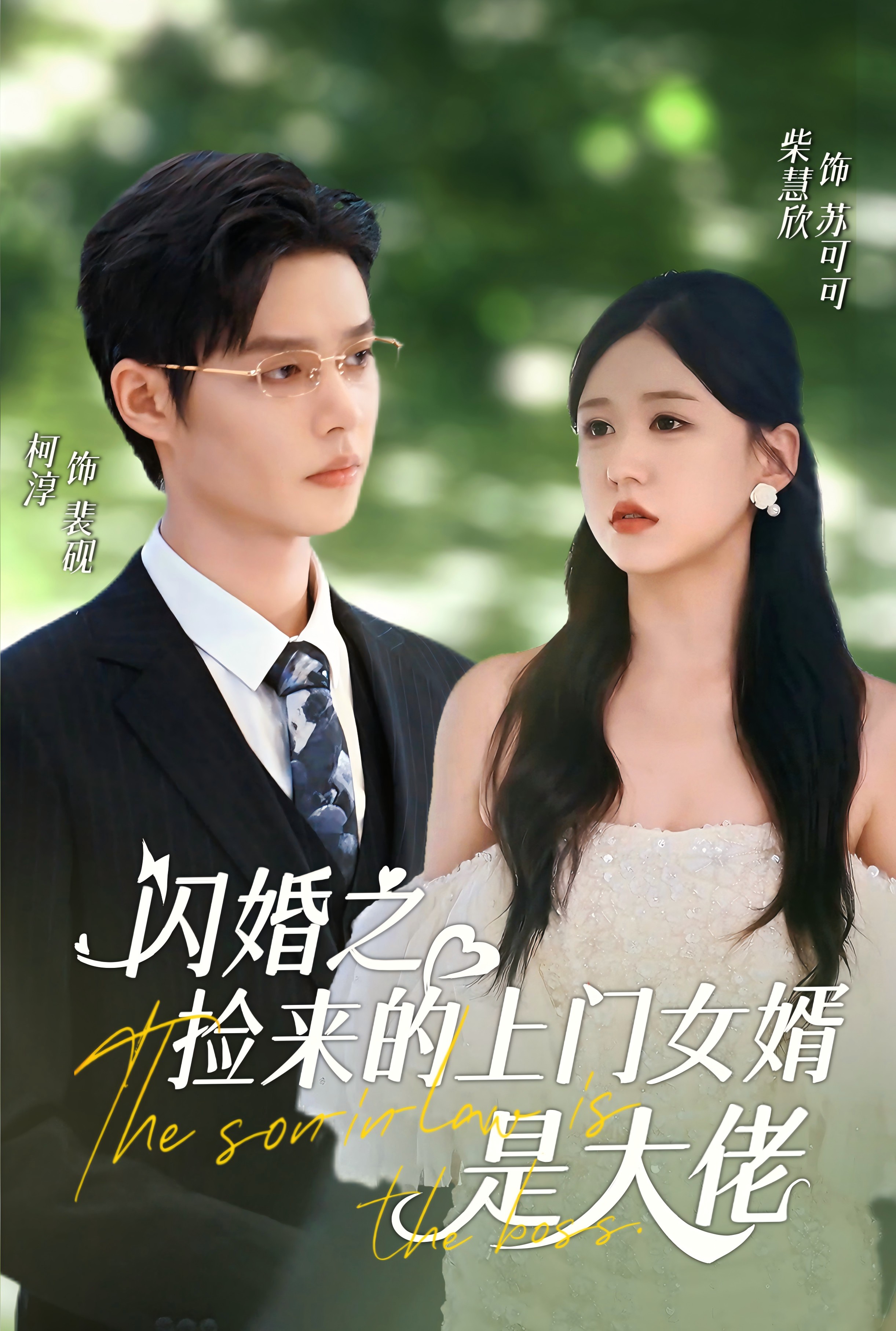 闪婚之捡来的上门女婿是大佬