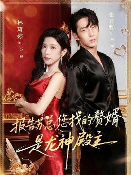 报告苏总您找的赞婿是龙神殿主