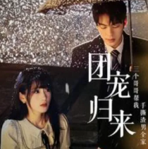 团宠归来三个哥哥帮我手撕渣男全家