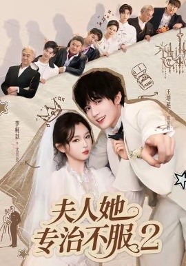 夫人她专治不服第2季