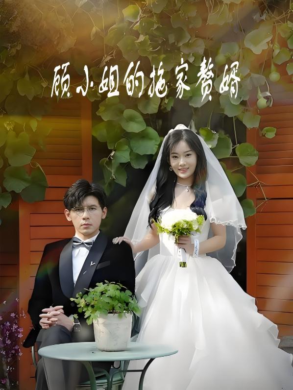 顾小姐的拖家赘婿