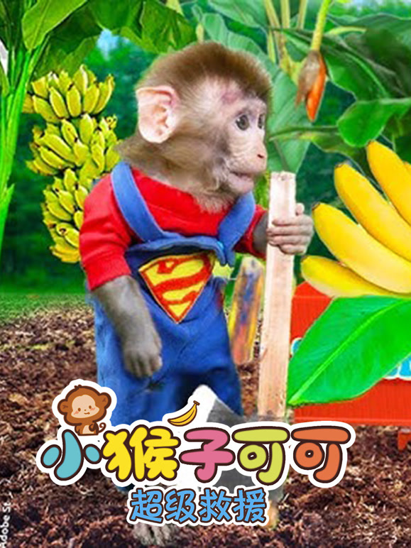 小猴子可可超级救援