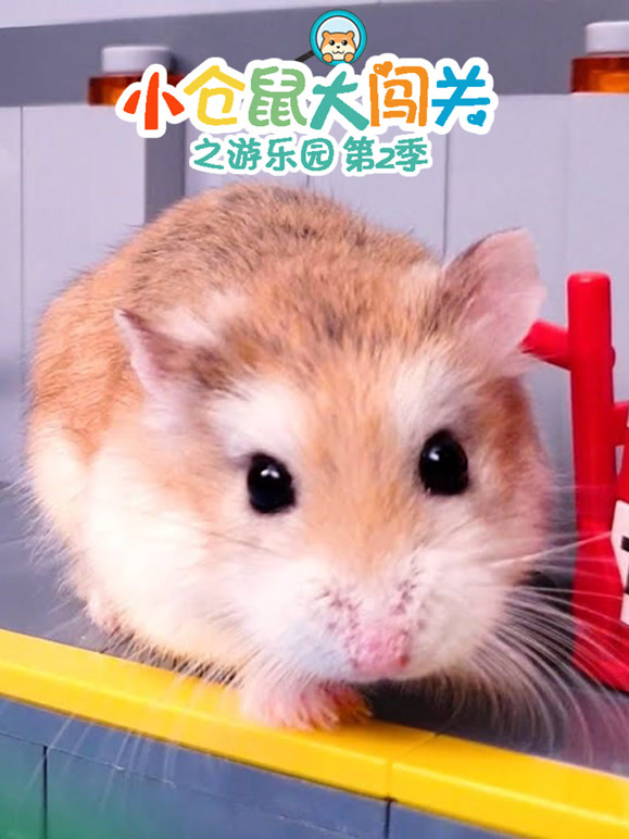 小仓鼠大闯关之游乐园第2季