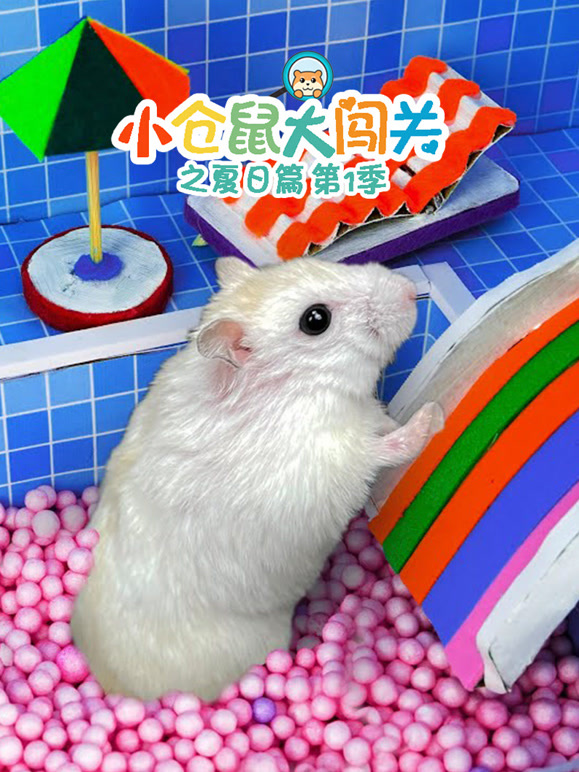 小仓鼠大闯关之夏日语篇第1季