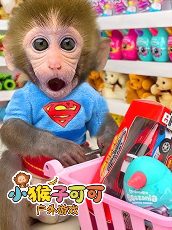 小猴子可可户外游戏